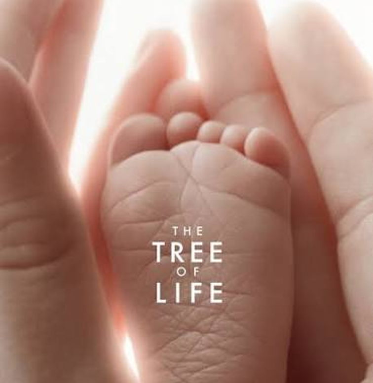 comment se termine The Tree of Life
